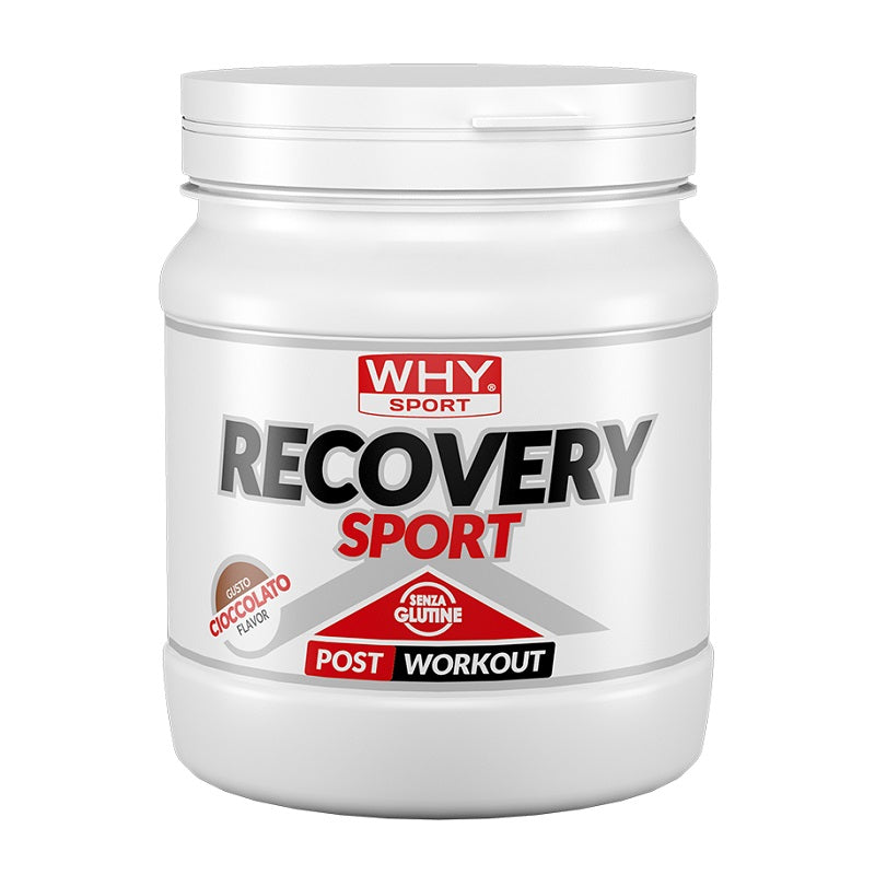 Recovery Sport 400g WHYsport MPO