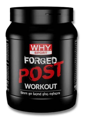 Forged Post Workout 600g WHYsport