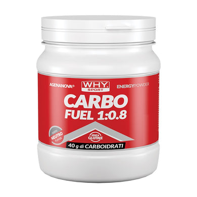 Carbo Fuel 1:0.8 - 615g WHYsport