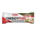 Energy Fuel 30g Mandorla WHYsport
