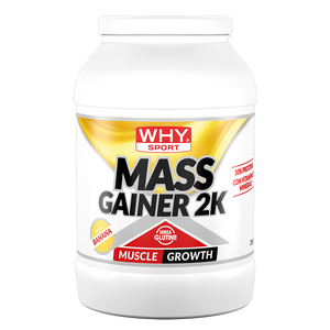 Mass Gainer 2K - 2000g WHYsport
