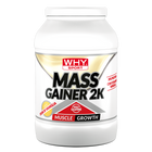 mass gainer gusto fior di vaniglia 2kg why sport