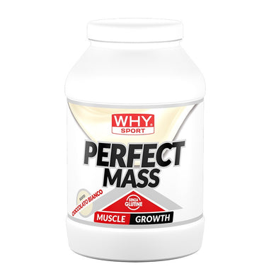 Perfect Mass 1600g WHYsport