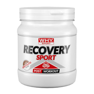Recovery Sport 400g WHYsport