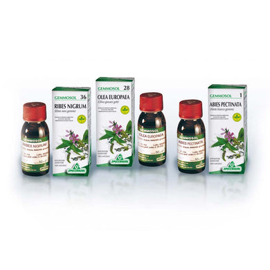Abete 50ml (Gemmoderivati) Specchiasol