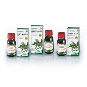 Abete 50ml (Gemmoderivati) Specchiasol
