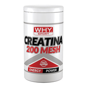 Creatina 200 Mesh 500g WHYsport