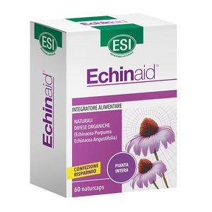 Echinaid 60 cps Esi