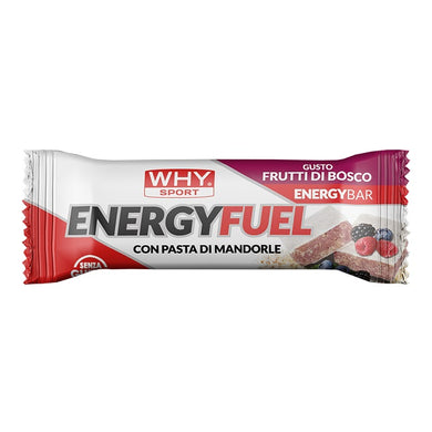 Energy Fuel 28 x 30g WHYsport