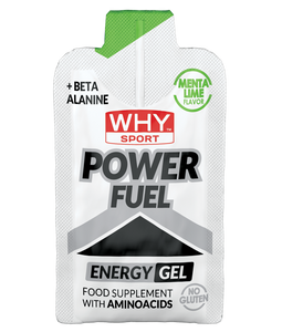 Power Fuel 55g WHYsport