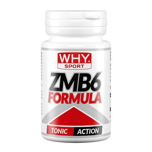 ZMB 6 Formula 90 cpr WHYsport