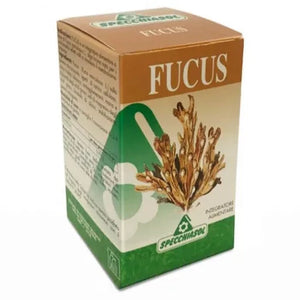 Fucus - 150 cps Specchiasol