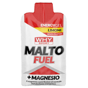 Malto Fuel 24 x 33g WHYsport