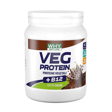Veg Protein 450g WHYnature