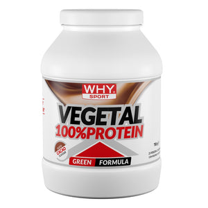 100% Vegetal Protein 750g WHYsport